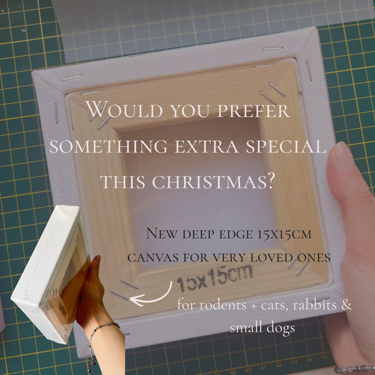 Christmas Pre-order for Custom Animal Portraits (Oil x Canvas)