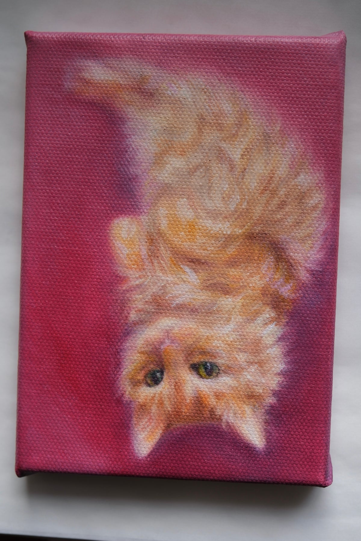 Custom Animal Portrait (Oil, larger canvas)