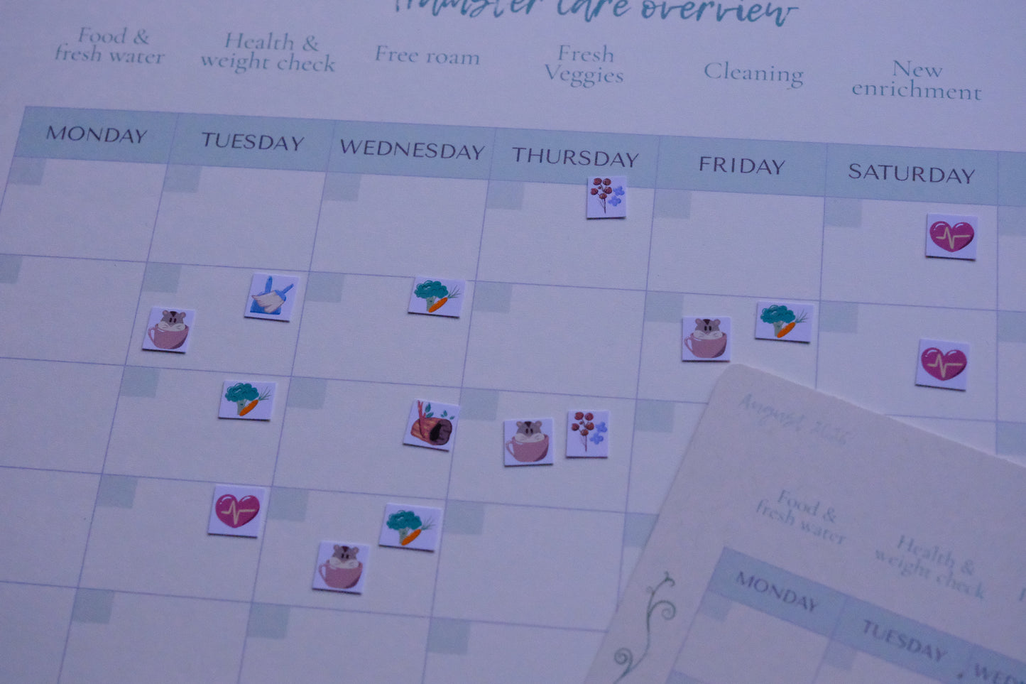 Hamster Care Planner (August)
