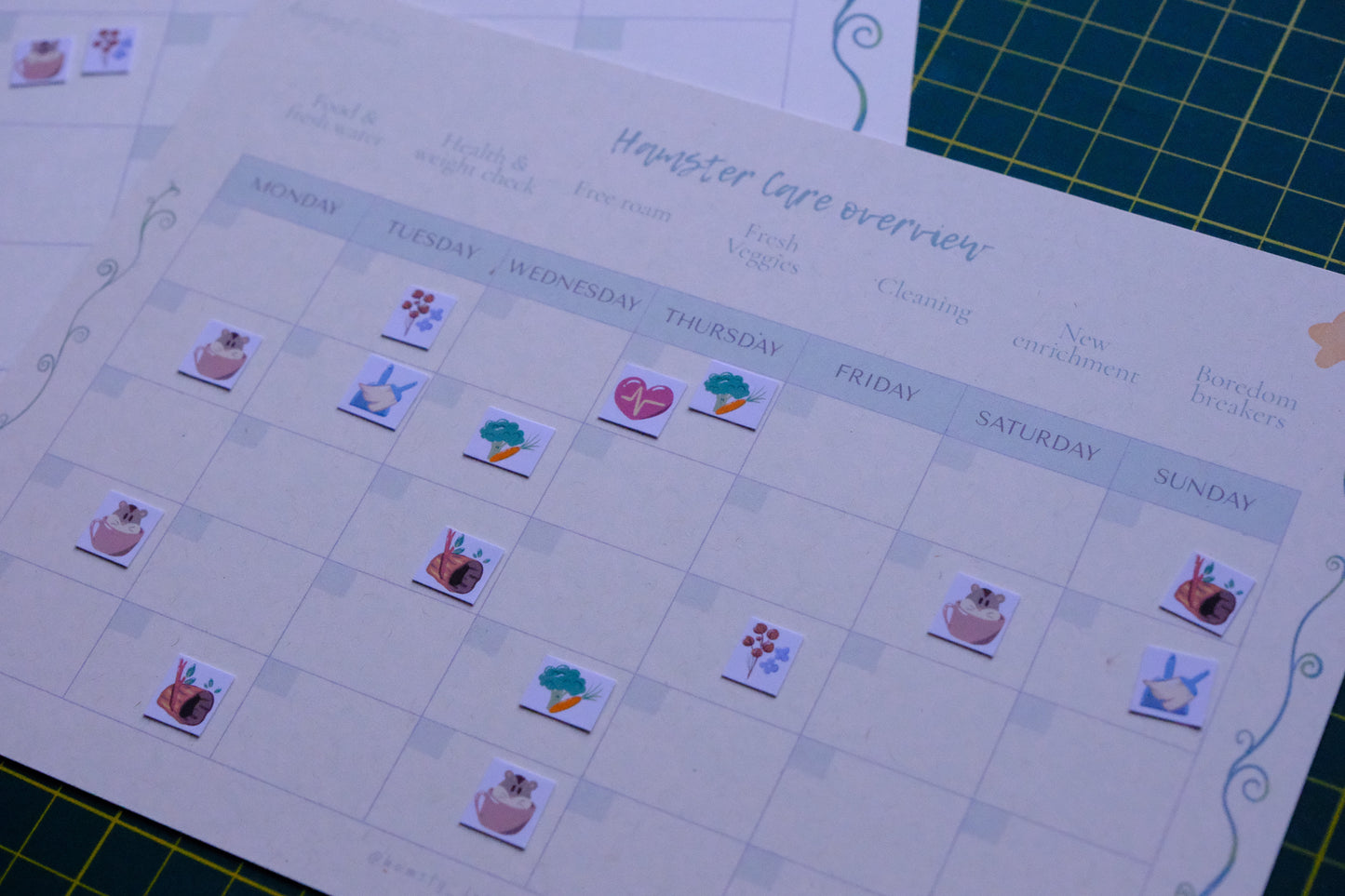 Hamster Care Planner (August)