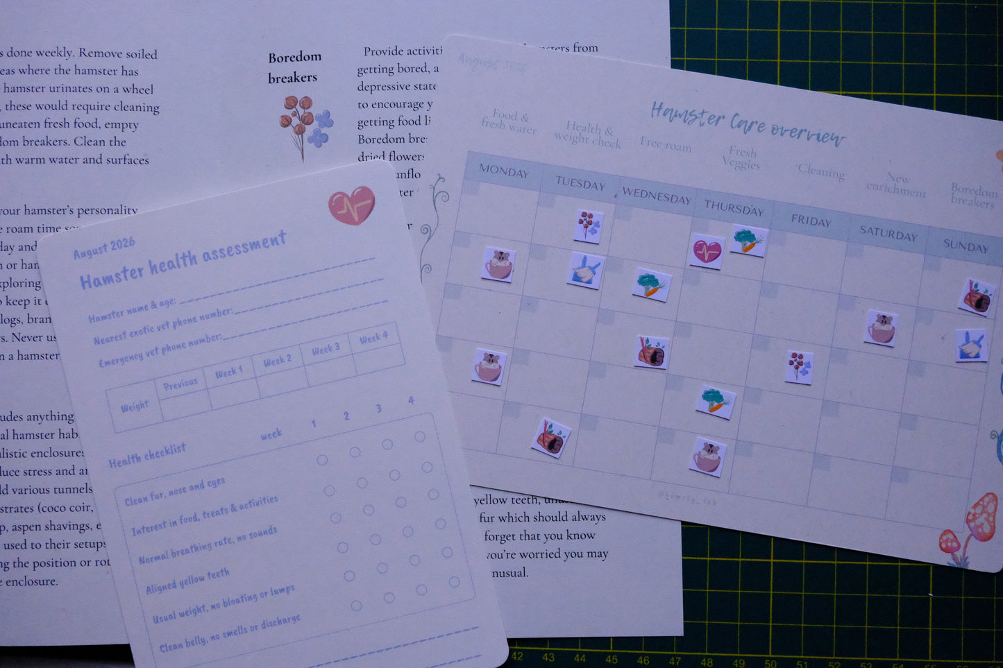 Hamster Care Planner (August)