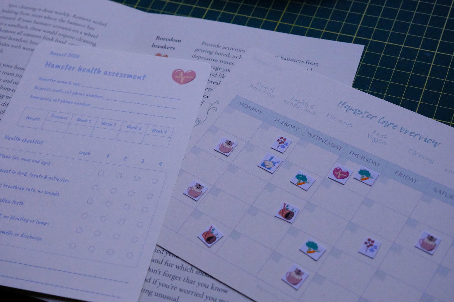 Hamster Care Planner (August)