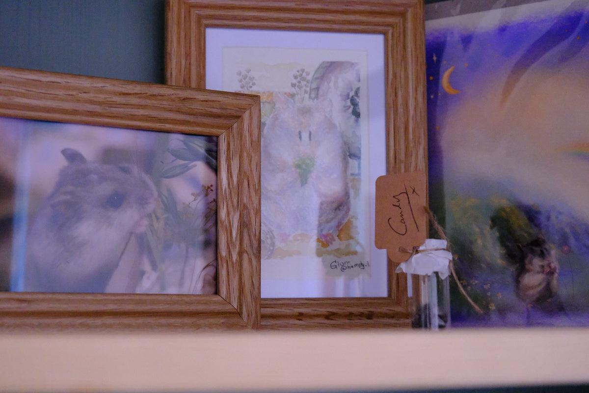 Custom Signature Hamsty Portrait (Watercolour & Soft Pastel)