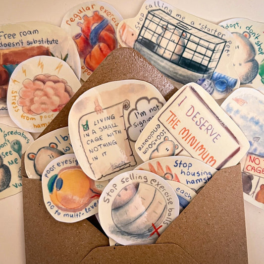 Proper hamster care stickers, 15pc (laminated)